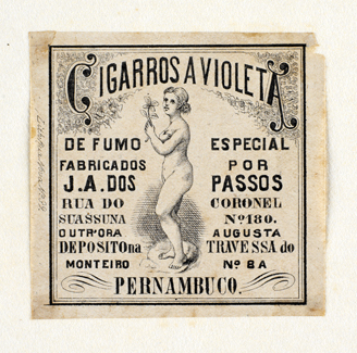 vizualizar o documento on line